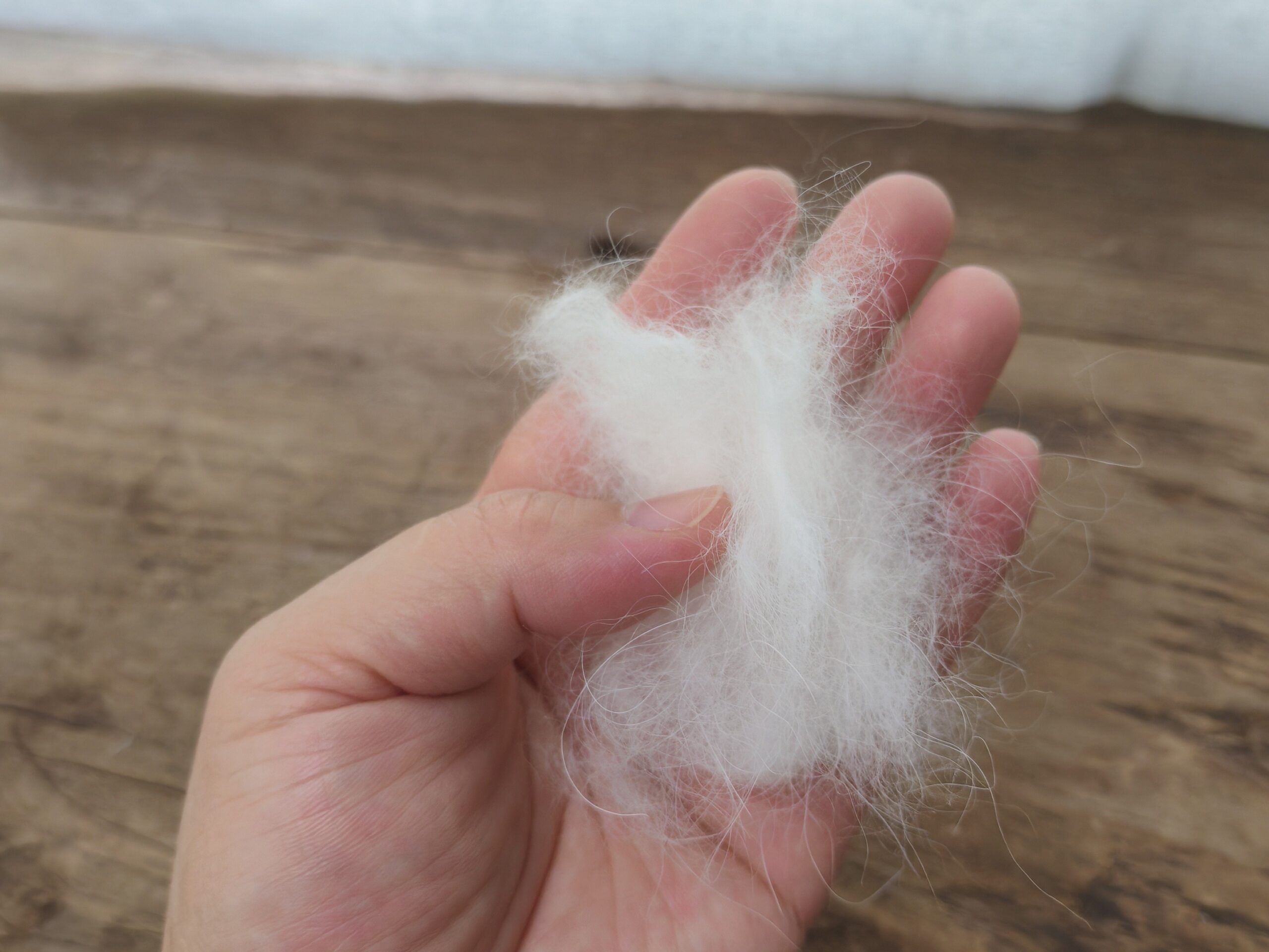 Pet fur kept safely at home